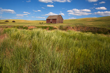 old barn in the field