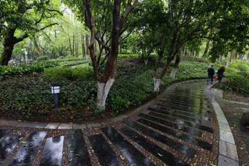 Park w Guilin, Chiny, po deszczu