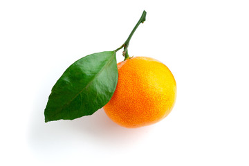 Bright, orange mandarin with green leaves, lit from the right, side view.