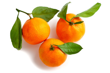 Group of ripe tangerines with green leaves, top view.