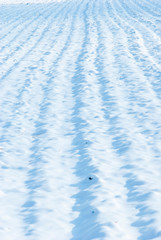 Obraz premium Agricultural field winter snow