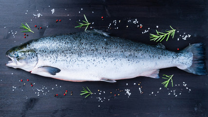 whole fresh raw big salmon fish with seasoning, salt, pepper and rosemary on dark black wooden...