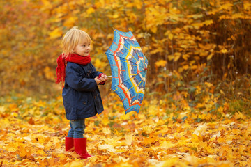 A girl with a colorful umbrella is walking around an autumn park.