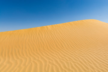 sand dunes in the desert