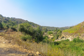 Fototapeta na wymiar Landscape in the Mount Carmel national park