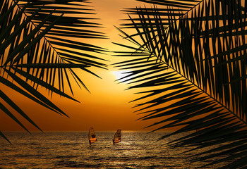 Ocean orange sunset through palm leaf shakes