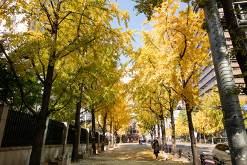 秋のソウル　都市風景