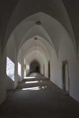 in the cloister