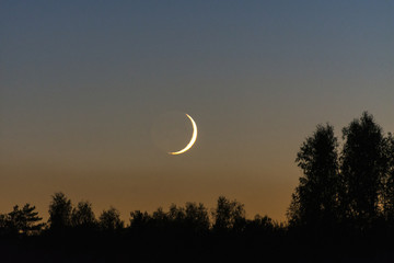 Sunset moon over the forest at dusk