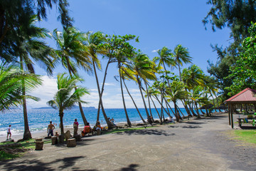 Grande Anse beach near Trois Rivieres, Basse-Terre, Guadeloupe