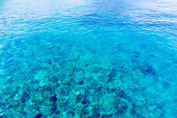 Fototapeta na wymiar Crystal clear turquoise water in Terre-de-Haut Island, Les Saintes, Guadeloupe archipelago