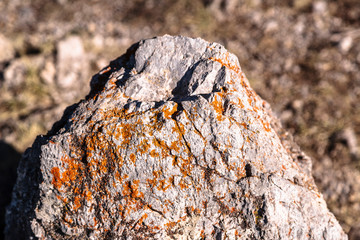 Piece of rock or stone in Sierra Nevada mountains in Spain