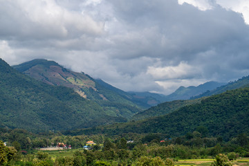 Mountain Forest on a cloudy day