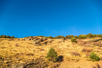 Fototapeta na wymiar Hill with dry grass and blue sky in Andalucia, Spain