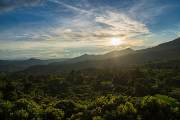 Forests with sunset  at the back of the mountain.