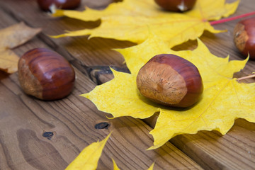 chestnuts with autumn leaves and rustic wood