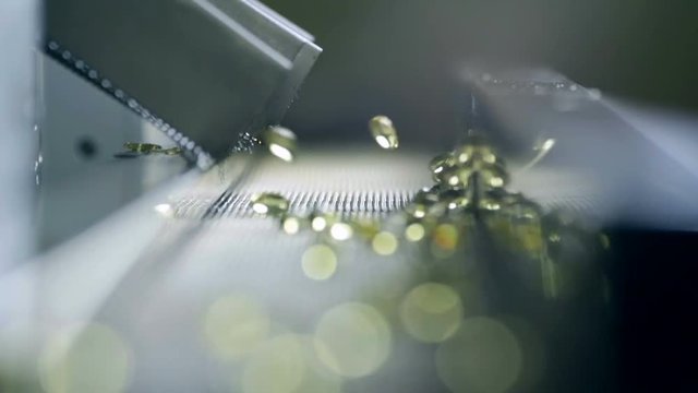 Production of gelatin capsules