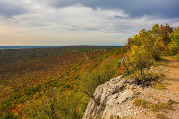 Autumn colours on display in the Carso karst limestone area of Friuli, near Doberdo in north east Italy.
