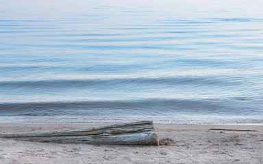 Dry Log On The Sand At The Water's Edge