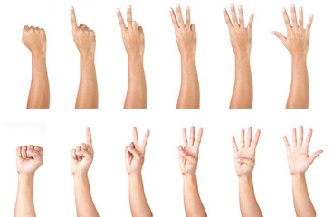 Man Hand Isolated on White Background  : Hand Counts from Zero to Five.