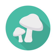 mushroom   food  eat