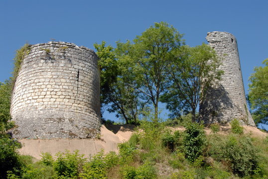 Enceinte médiévale du château et végétation, Ville de Vendôme, département du Loir-et-Cher, France