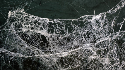 Cobweb in dark room