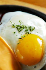 Fried egg with cheese