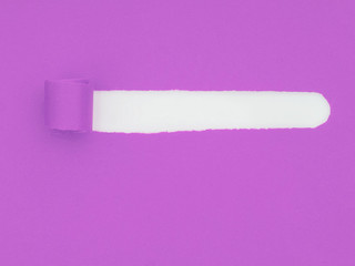 Torn, ripped purple paper, white underneath. Rolled, curled. Background.
