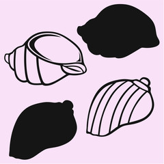 sea shell vector silhouette isolated
