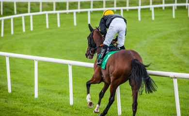 Single race horse and jockey running on the racetrack