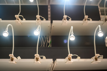 four bending lamps are fastened on the shelf of the light store