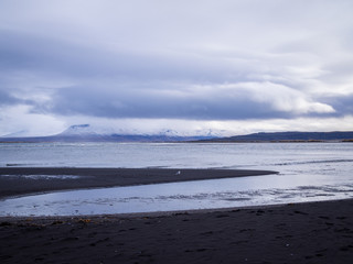 Hvitserkur black sand beach in eastern shore of the Vatnsnes peninsula, in northwest Iceland