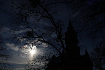 Fototapeta premium .koökopkqwsdjiasifjdsifs