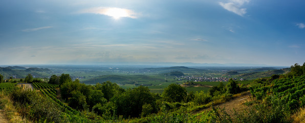 Obraz na płótnie Canvas Germany, XXL panorama of vineyard landscape in Kaiserstuhl region