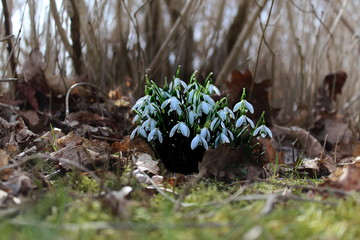 ddkskfdjklfsjkfldsjlfkdsjkflds