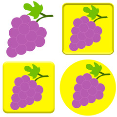 bunch of grapes on white background