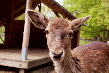 ddkskfdjklfsjkfldsjlfkdsjkflds