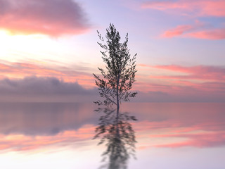 Fototapeta na wymiar lonely tree in a water