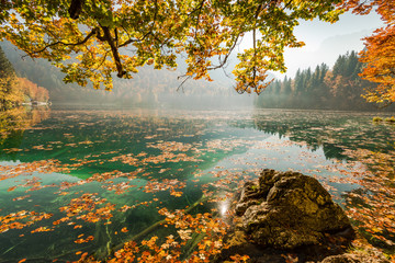 Sunny day at lake in autumn
