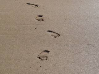 Footprints in the sand