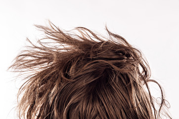 Closeup of a morning bed head with a natural messy hair from behind of young man in his 20s, isolated on white - Concept of hangover, insomnia, sleeplessness, confident appearance or casual hipster