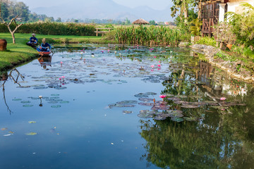 Peaceful pond with reflection on the water