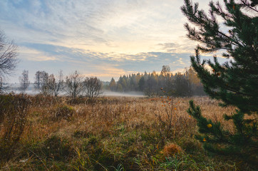 Foggy autumn landscape with meadow and forest.Windless calm weather.Autumn morning.