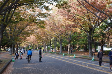 Passing of the season to Fall