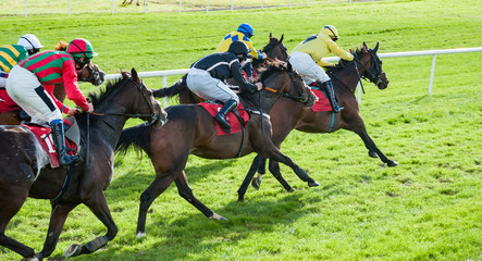 Group of race horses and jockeys racing on the final furlong towards the finish line