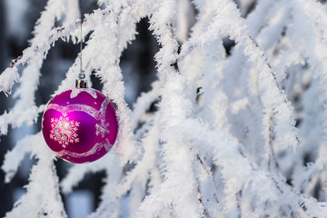 christmas ball on the background of snow