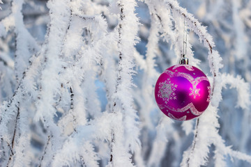 christmas ball on the background of snow