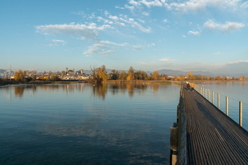 landscape view of marsh and lake shore with the town of Rapperswil in evening light and a long...