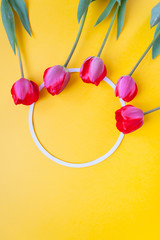 Round frame red tulips on yellow background